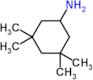 3,3,5,5-tetramethylcyclohexanamine