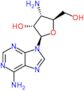3'-amino-3'-deoxyadenosine