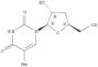 Uridine,3'-deoxy-5-methyl- (7CI,9CI)