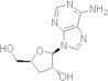 Cordycepin