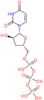 3'-deoxyuridine 5'-(tetrahydrogen triphosphate)