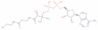 3'-dephosphocoenzyme A free acid