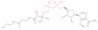 Dephospho-CoA