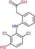 {2-[(2,6-dichloro-3-hydroxyphenyl)amino]phenyl}acetic acid