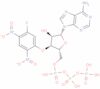 3'-O-(5-fluoro-2,4-dinitrophenyl)ATP ether