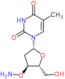 3'-O-aminothymidine