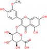 5,7-dihydroxy-2-(4-hydroxy-3-methoxyphenyl)-4-oxo-4H-chromen-3-yl beta-D-glucopyranosiduronic acid