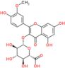 Isorhamnetin 3-glucuronide