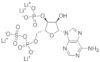 ADENOSINE 3'-PHOSPHATE 5'-PHOSPHOSULFATE LITHIUM