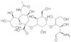 3′-Sialyllactosamine