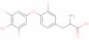 3′,5′,3-Triiodothyronine