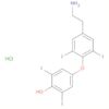 Phenol, 4-[4-(2-aminoethyl)-2,6-diiodophenoxy]-2,6-diiodo-,hydrochloride