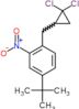 4-tert-butyl-1-[(2,2-dichlorocyclopropyl)methyl]-2-nitrobenzene