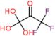 1,1,1-trifluoro-3,3,3-trihydroxypropan-2-one