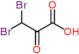 3,3-dibromo-2-oxopropanoic acid