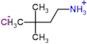 3,3-dimethylbutan-1-aminium chloride