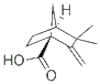 3,3-DIMETHYL-2-METHYLENE-BICYCLO[2.2.1]HEPTANE-1-CARBOXYLIC ACID