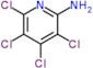 3,4,5,6-tetrachloropyridin-2-amine