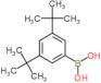 (3,5-di-tert-butylphenyl)boronic acid