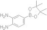 3,4-Diaminophenylboronicacid,pinacolester