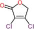 3,4-dichlorofuran-2(5H)-one