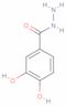 3,4-Dihydroxybenzhydrazide