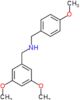 1-(3,5-dimethoxyphenyl)-N-(4-methoxybenzyl)methanamine