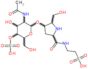 2-{[4-{[2-(acetylamino)-2-deoxy-4-O-sulfohexopyranosyl]oxy}-5-(hydroxymethyl)prolyl]amino}ethanesu…