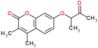 3,4-dimethyl-7-(1-methyl-2-oxopropoxy)-2H-chromen-2-one