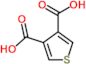 3,4-Thiophenedicarboxylic acid