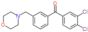 (3,4-dichlorophenyl)-[3-(morpholinomethyl)phenyl]methanone