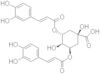 3,5-Dicaffeoylquinic acid