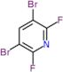 3,5-dibromo-2,6-difluoro-pyridine