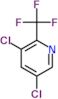 3,5-dichloro-2-(trifluoromethyl)pyridine