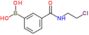 [3-(2-chloroethylcarbamoyl)phenyl]boronic acid