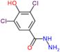 3,5-dichloro-4-hydroxybenzohydrazide