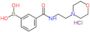 [3-(2-morpholinoethylcarbamoyl)phenyl]boronic acid hydrochloride