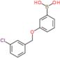 {3-[(3-chlorobenzyl)oxy]phenyl}boronic acid