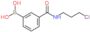 [3-(3-chloropropylcarbamoyl)phenyl]boronic acid