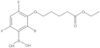 1-Ethyl 5-(3-borono-2,4,6-trifluorophenoxy)pentanoate