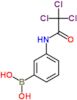 {3-[(trichloroacetyl)amino]phenyl}boronic acid