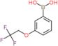 [3-(2,2,2-trifluoroethoxy)phenyl]boronic acid