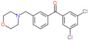 (3,5-dichlorophenyl)-[3-(morpholinomethyl)phenyl]methanone