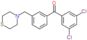 (3,5-dichlorophenyl)-[3-(thiomorpholinomethyl)phenyl]methanone