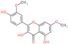 Flavone, 3,4',5-trihydroxy-3',7-dimethoxy-