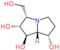 (1R,2R,3S,7S,7aR)-3-(hydroxymethyl)hexahydro-1H-pyrrolizine-1,2,7-triol