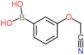 [3-(cyanomethoxy)phenyl]boronic acid