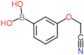 B-[3-(Cyanomethoxy)phenyl]boronic acid