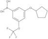 B-[3-(Cyclopentyloxy)-5-(trifluoromethoxy)phenyl]boronic acid