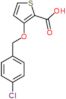 3-[(4-chlorobenzyl)oxy]thiophene-2-carboxylic acid